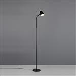 Pongo LED Floor Lamp Black Finished R45831102