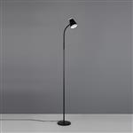 Pongo LED Floor Lamp Black Finished R45831102