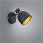 Punch Black And Gold Single Switched Adjustable Spotlight R80811032