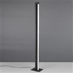 Seeker Matt Black Touch-Dim CCT LED Floor Lamp 448810132
