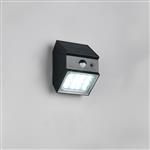 Talca IP65 LED Matt Black Solar Dusk to Dawn Motion Sensor Outdoor Light R25119632 