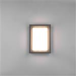 Witham IP54 Rectangular Outdoor Anthracite LED Wall Or Ceiling Fitting 277860142
